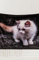 Koc Cotton World Touch Animal, Motor 160x200