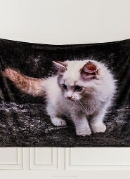 Koc Cotton World Touch Animal, Motor 160x200