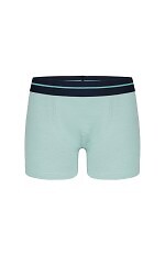Bokserki Donella Boys 8071PD4 A'2