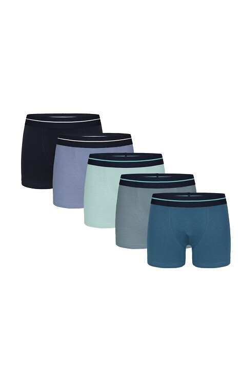 Bokserki Donella Boys 8071PD4 A'2