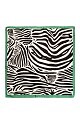 Pattern image