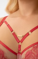 Biustonosz soft Gorsenia G 008 Flavia Rudy