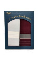 Chusteczka Ega CH-840 A'2 Męska