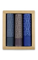 Chusteczki Ega CH-219 A'3 Męskie