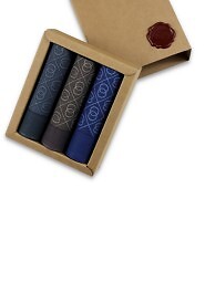 Chusteczki Ega CH-219 A'3 Męskie