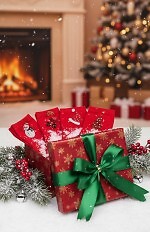 Skarpety WiK SO&LI 078 Świąteczne Damskie 35-42