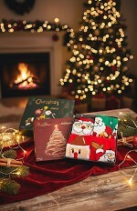 Skarpety WiK M898 Merry Christmas Pudełko A'4 35-46