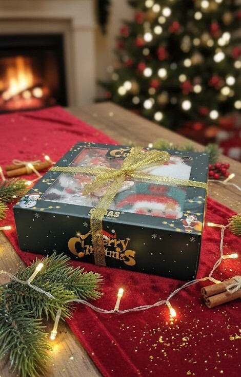 Skarpety WiK Cosas BDP60-56 Świąteczne Pudełko A'4 35-42