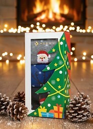 Skarpety Moraj CSLS 450-003/3 A'3 Świąteczne Pudełko 35-41