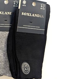 Skarpety WiK 043 Kaszmir 15 39-46