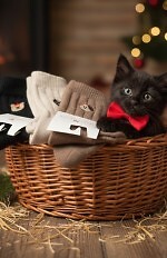 Skarpety Magnetis YN5065 Zwierzaki