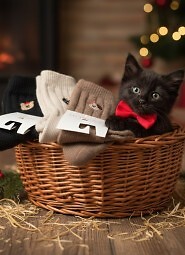 Skarpety Magnetis YN5065 Zwierzaki