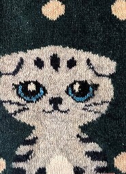 Skarpety WiK 002 Angora Damskie 02 Koty 35-42