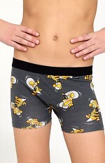 Bokserki Cornette Young Boy 700/156 Hornet 2 134-164