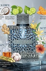 Perfumy Rayhaan Aquatica męskie 100 ml