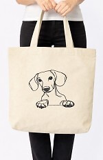 Torba Noviti AT006 Pies