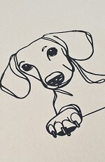 Torba Noviti AT006 Pies