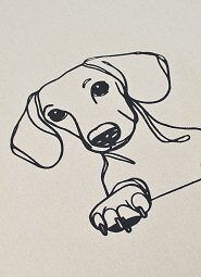 Torba Noviti AT006 Pies