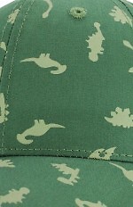 Czapka Noviti CD138 Dinozaury Boy