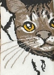 Stopki WiK Xintao 3502 wz.35 35-42