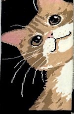 Stopki WiK Xintao 3502 wz.37 35-42