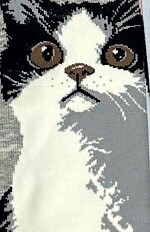 Stopki WiK Xintao 3502 wz.37 35-42