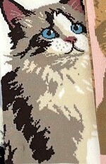 Stopki WiK Xintao 3502 wz.37 35-42