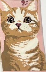 Stopki WiK Xintao 3502 wz.37 35-42