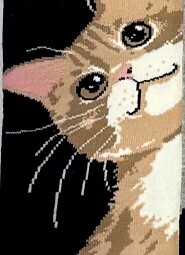 Stopki WiK Xintao 3502 wz.37 35-42