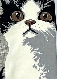 Stopki WiK Xintao 3502 wz.37 35-42