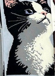 Stopki WiK Xintao 3502 wz.37 35-42