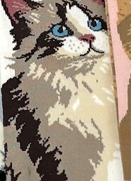 Stopki WiK Xintao 3502 wz.37 35-42