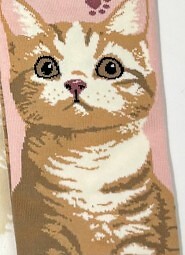 Stopki WiK Xintao 3502 wz.37 35-42