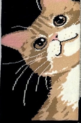 Stopki WiK Xintao 3502 wz.37 35-42 - zdjęcie 2