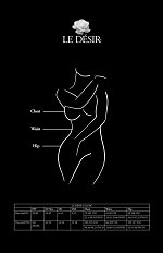 Bodystocking Le Desir DES020