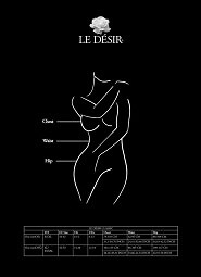 Bodystocking Le Desir DES020
