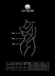 Bodystocking Le Desir DES021