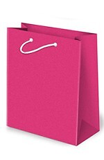 Torba Paw T-4L Eko Set 2 A'10