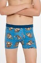 Pattern image