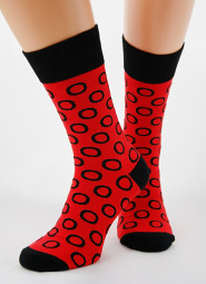 Skarpety Regina Socks 7141 Bamboo męskie Wzór 39-46