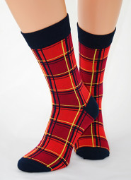 Skarpety Regina Socks 7141 Bamboo męskie Wzór 39-46