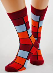 Skarpety Regina Socks 7141 Bamboo męskie Wzór 39-46