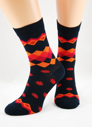 Skarpety Regina Socks 7141 Bamboo męskie Wzór 39-46