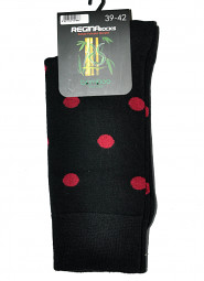 Skarpety Regina Socks 7141 Bamboo męskie Wzór 39-46