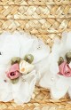 Pattern image