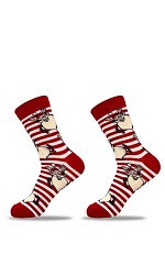 Skarpety Be Snazzy SKCH-01 Merry Christmas 42-44