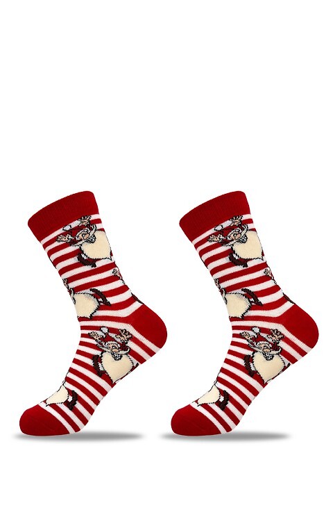 Skarpety Be Snazzy SKCH-01 Merry Christmas 42-44